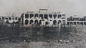 Grey Mackenzie 1900’s
